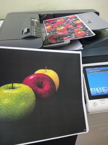 DEVELOP İNEO 224e RENKLİ FOTOKOPİ YAZICI TARAYICI