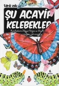 Şu Acayip Kelebekler Şu Acayip Kelebekler