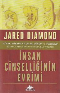 İnsan Cinselliğinin Evrimi İnsan Cinselliğinin Evrimi