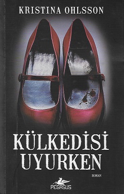 Külkedisi Uyurken